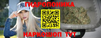 мяу мяу мука Нальчик