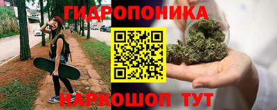 мяу мяу мука Нальчик
