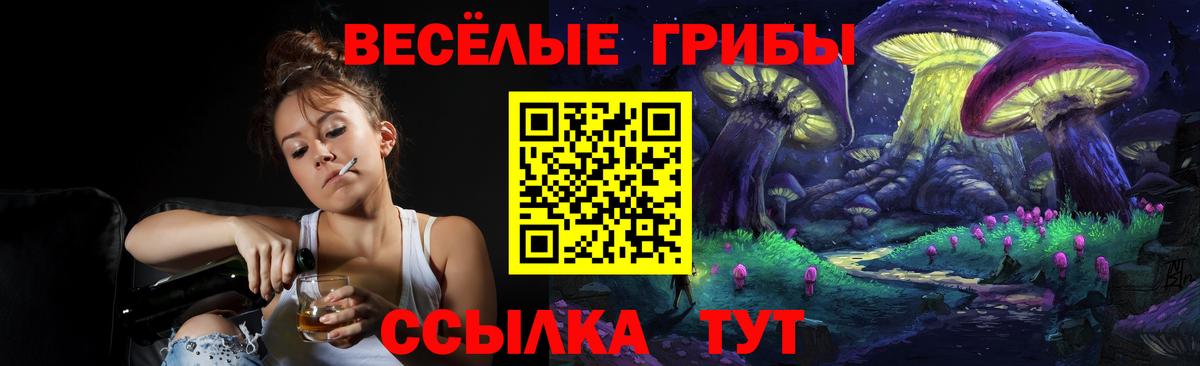 наркотики  Вход с VPN  Морозовск  Галлюциногенные грибы Psilocybine cubensis 